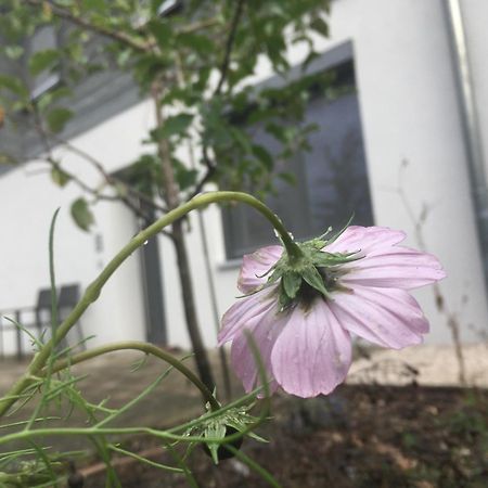 Sweetsuites 40A Lavendelhaus ミュールハウゼン エクステリア 写真